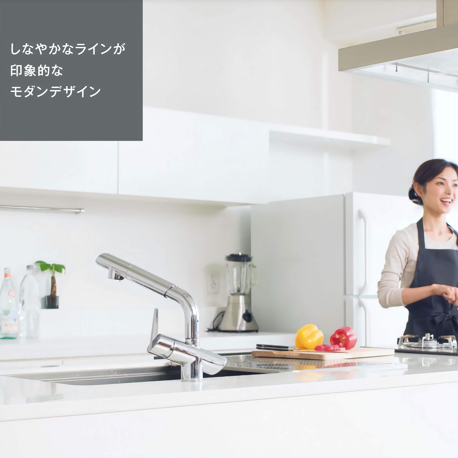 タカギ 【JK106MT-1NBF】 蛇口一体型浄水器 みず工房 コンバージェンス シングルレバー混合栓(ワンホール) 寒冷地用