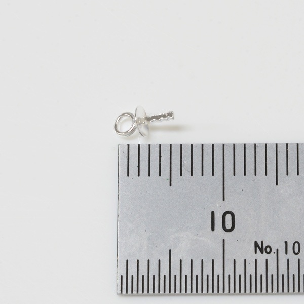 SV925 ҡȥLUSHPL-303.0mm10ġ