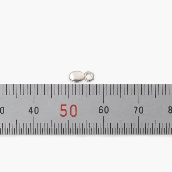 �����㥹�����ơ��륨��� SV925��ITE-01��10��