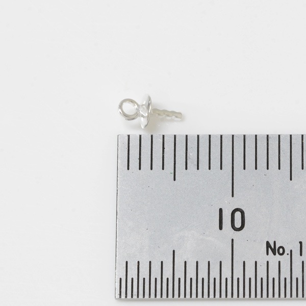 SV925 �ҡ��ȥ�S��USHPS-30��3.0mm 10�ġ�