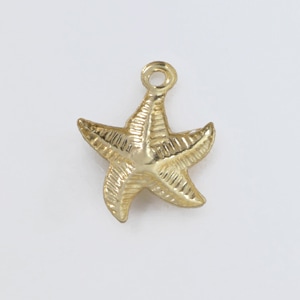 �ڥ����ȥȥåץ��㡼�� �ҥȥ� 14KGF ������ɥե���� GFCM-34