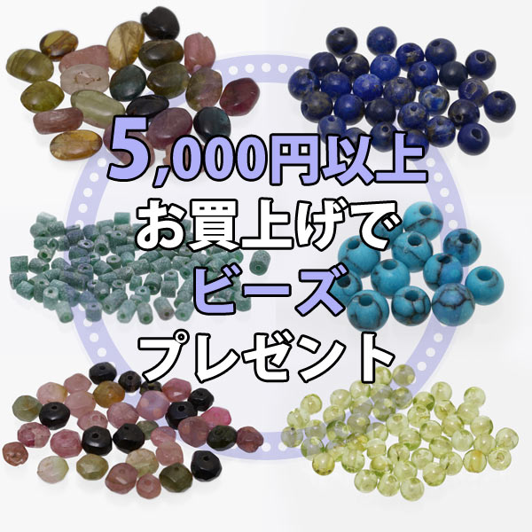 �ڤ���˾�����ء۾������5��߰ʾ太��夲�ǥӡ�����1�ޥץ쥼��ȡ�