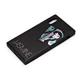 PG-DCS666JSM [�W���X�~��]