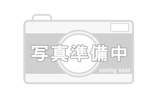 �ֳ�����⥳�󥷥��ƥ���ȯ������RCH-15