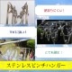 ���ƥ�쥹 �ԥ�� �ϥ󥬡� 44�ԥ��