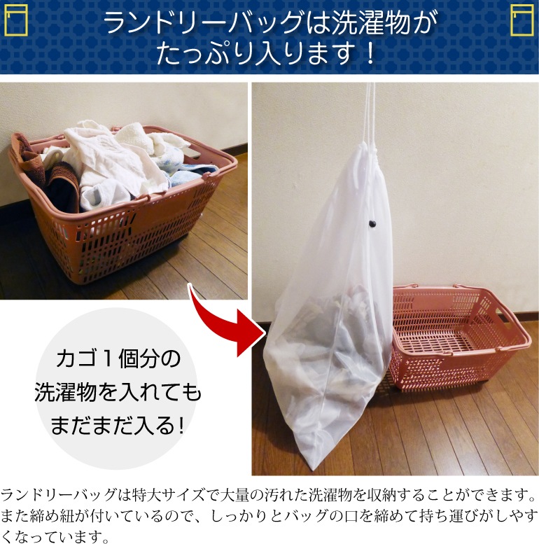 ���ɥ꡼�ͥåȡ�5�祻�å�