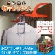ʪ������å������٤룳��