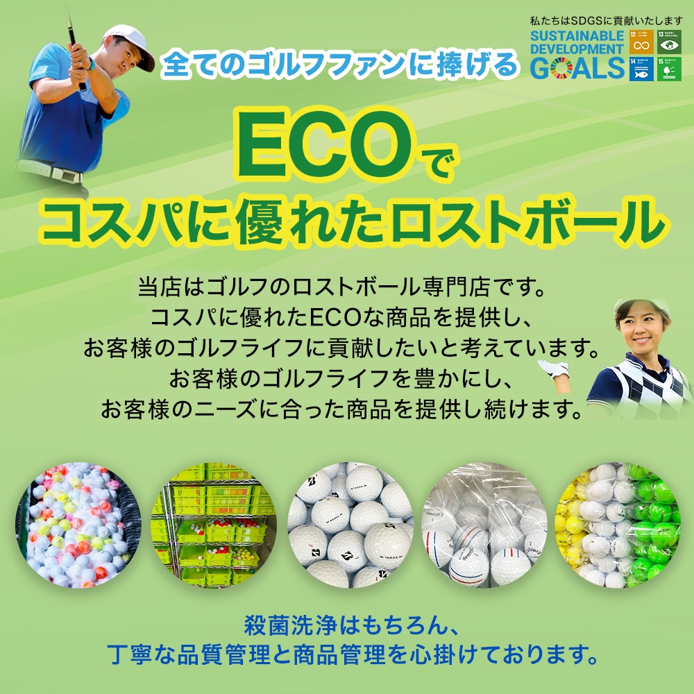 ロストボール タイトリスト PRO V1 ホワイト 2023年モデル 1個 中古 B