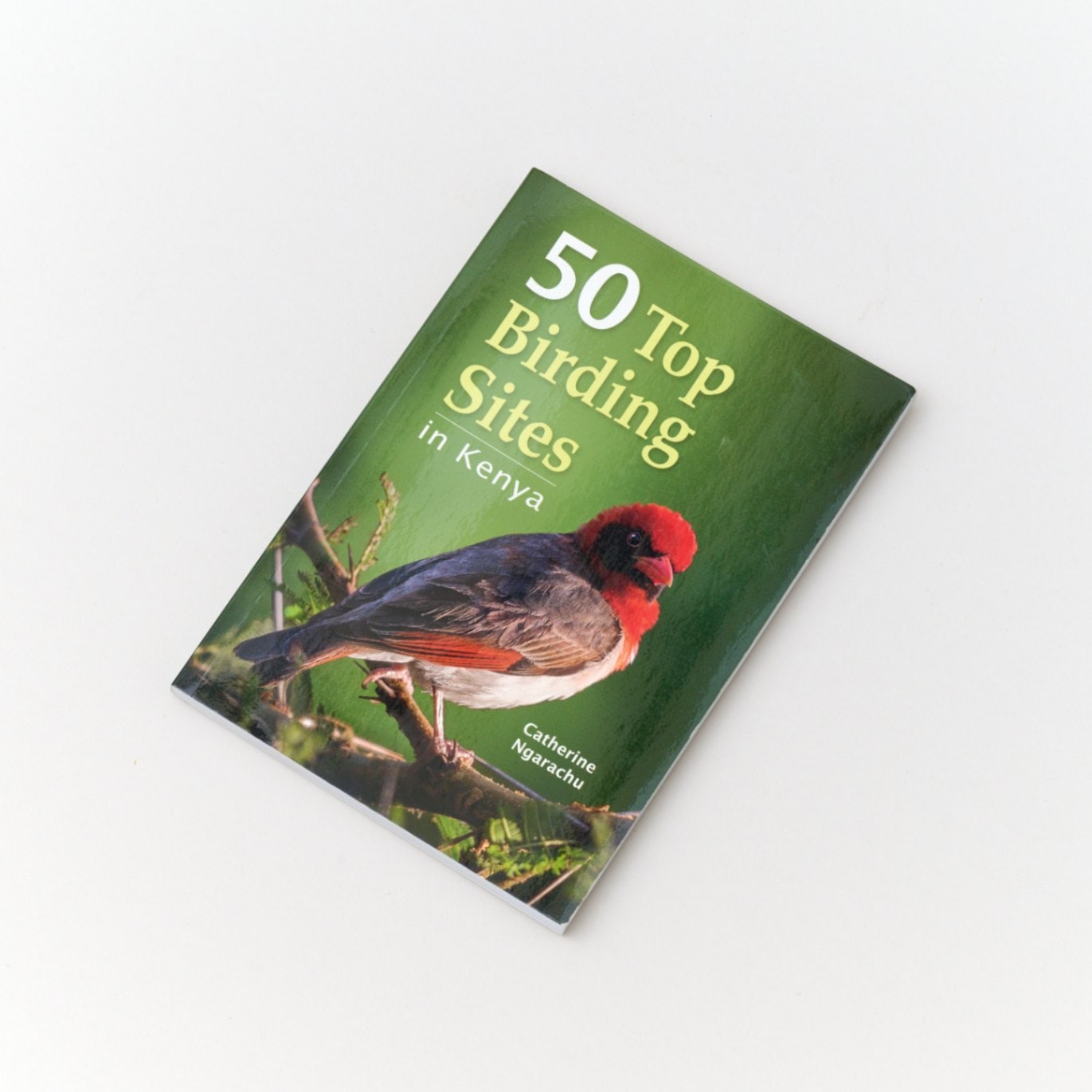 ケニアの鳥の本「50 Top Birding Sites in Kenya」