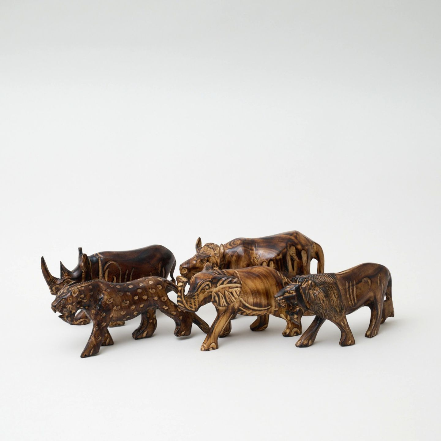 サファリのビッグファイブ