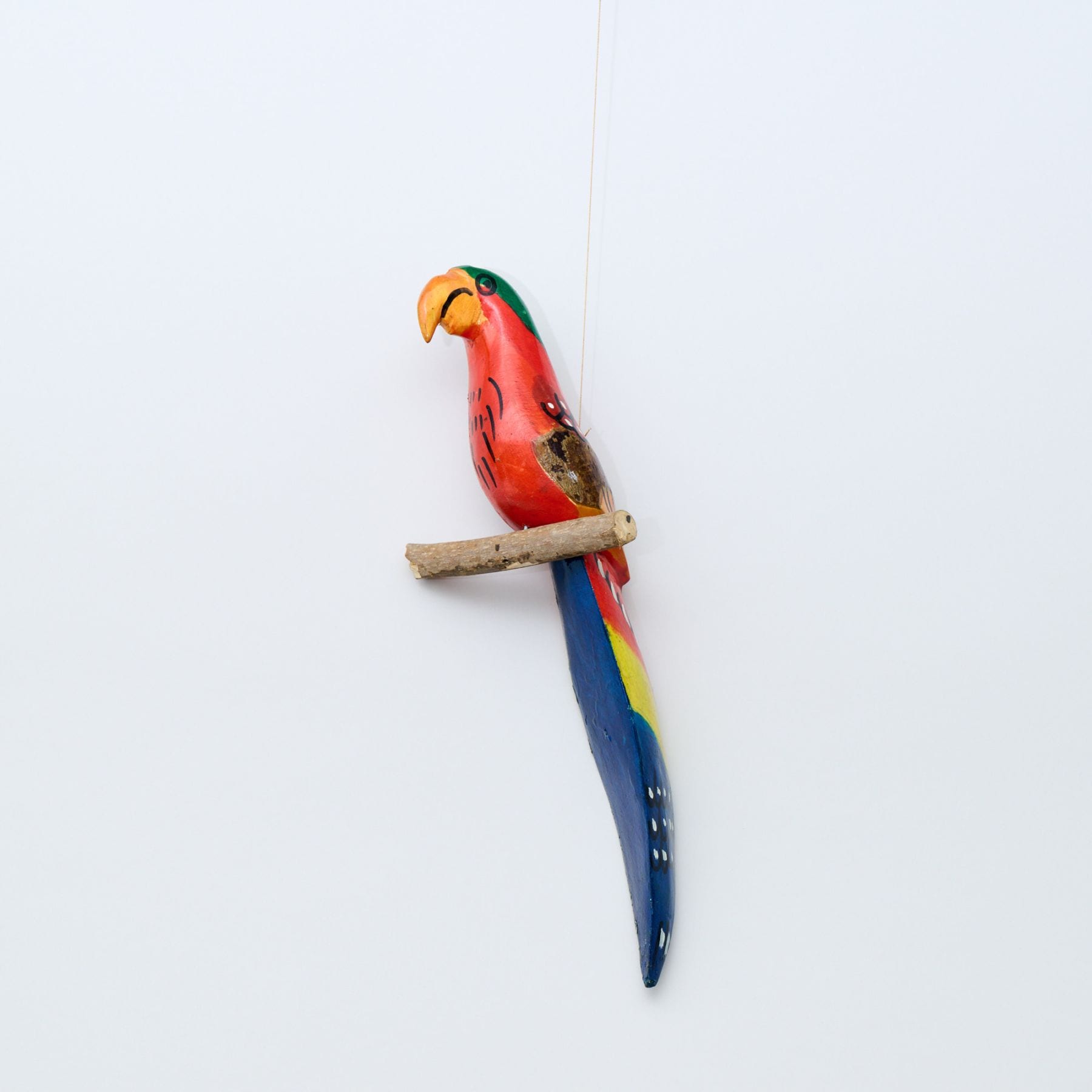 サファリのハンギングバード