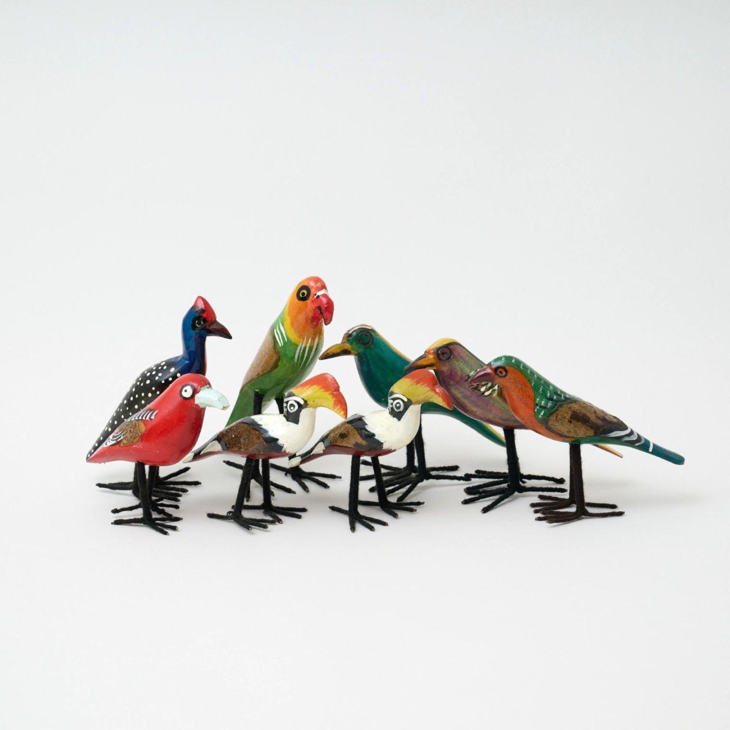 飛んでいかないサファリの鳥