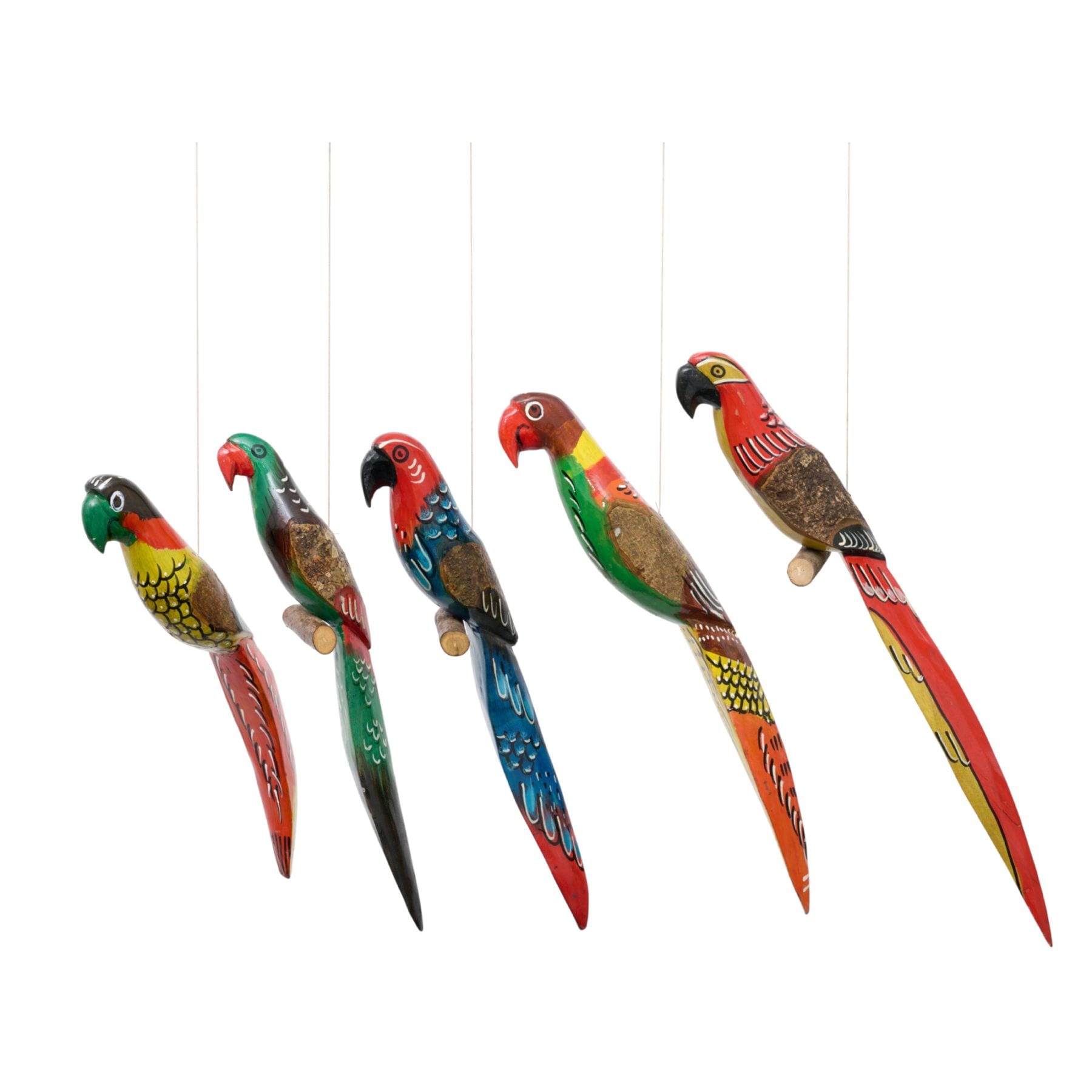 【2026年初夏入荷】サファリのハンギングバード
