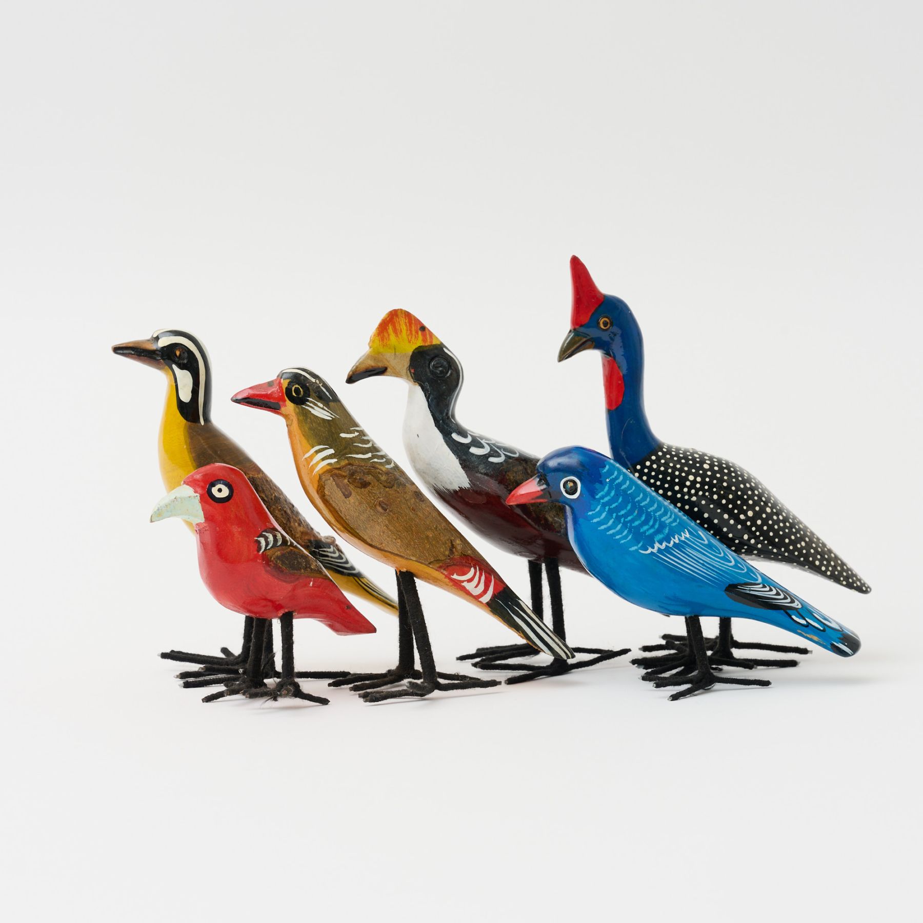 飛んでいかないサファリの鳥