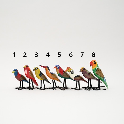 飛んでいかないサファリの鳥