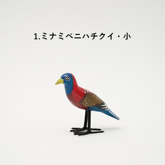 飛んでいかないサファリの鳥