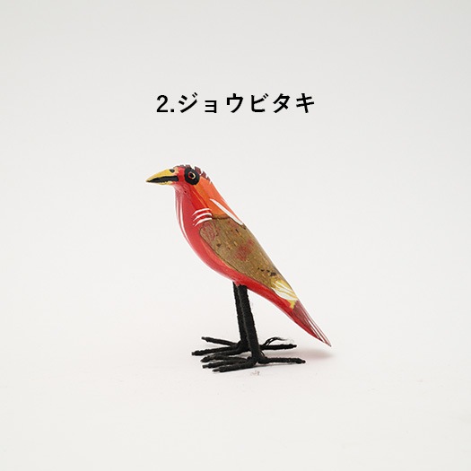 飛んでいかないサファリの鳥