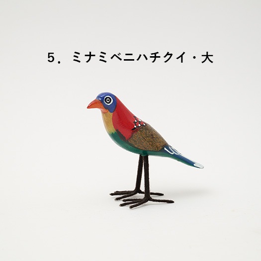 飛んでいかないサファリの鳥