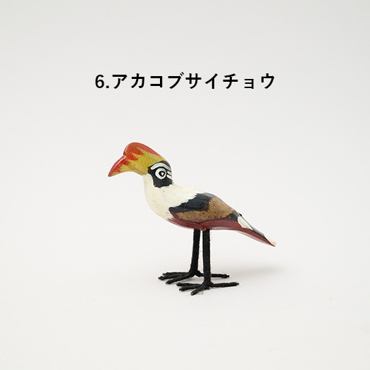 飛んでいかないサファリの鳥