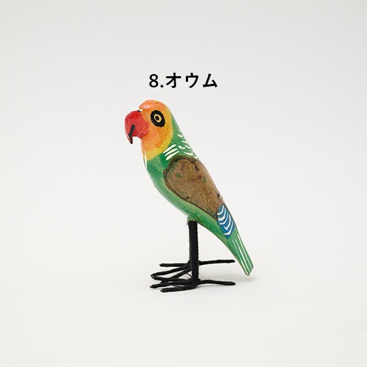 飛んでいかないサファリの鳥