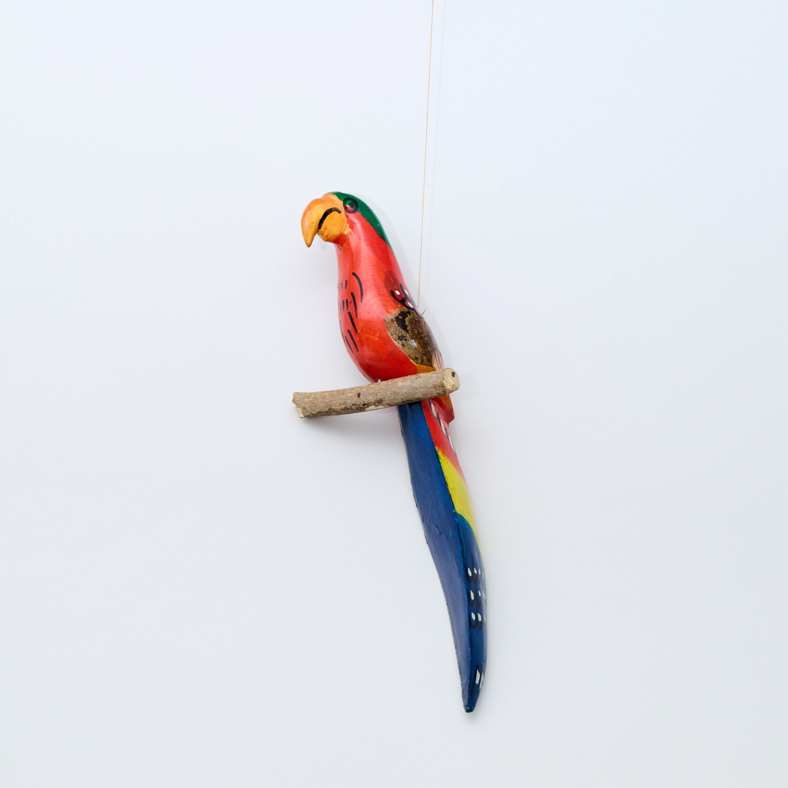 サファリのハンギングバード