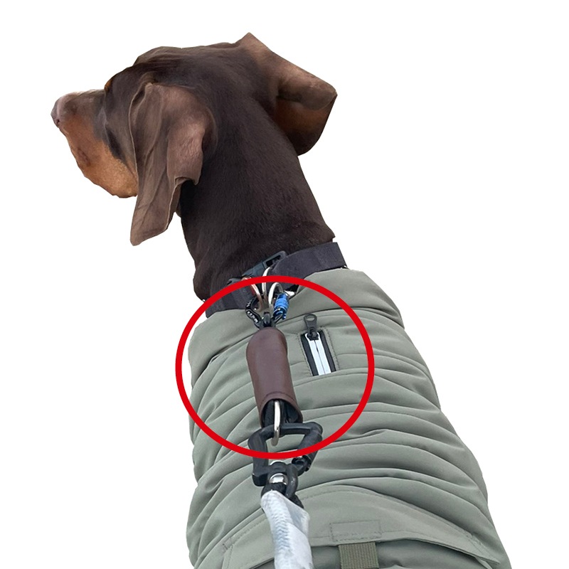 DOG THINK 