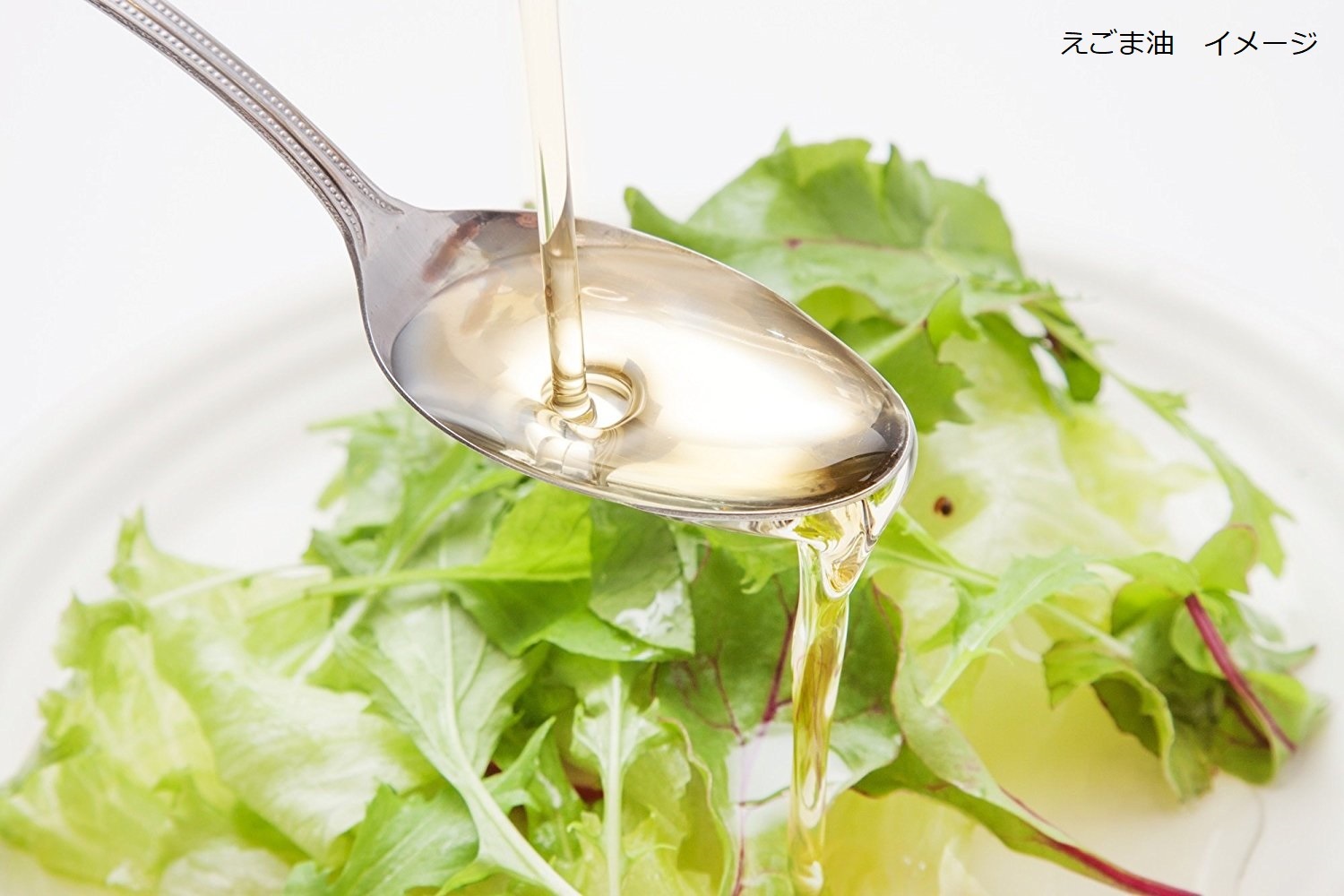 【お値下げ！新品未使用・引取限定】ヴェルッキオ VERCIDO 2 ローテーブル 酒井 航（DOUBLE＝DOUBLE FURNITURE）_ 杉隅切弁当箱 小 - NODE