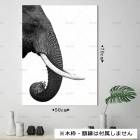 �ڥݥ����� ����ե���� ������ ���� 70cm��50cm�ۥ������󡡥꥾���ȡ������ɥ꡼�إåץС��󡡥���ǥ��������ۥ���������ƥꥢ�������ȡ��������