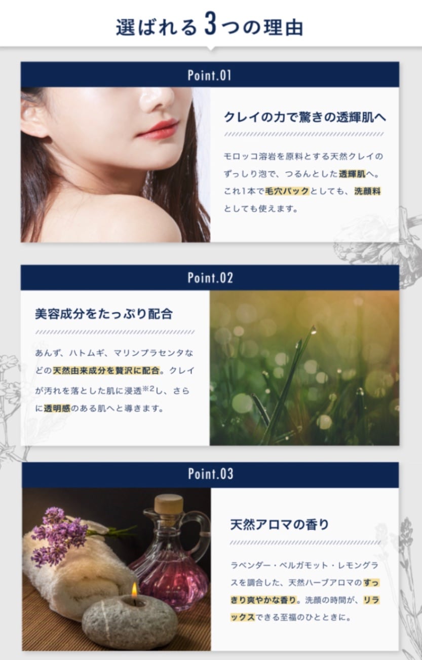 みみ様専用 hbi クレイウォッシュ 6本、ウォッシュフォーム3本セット
