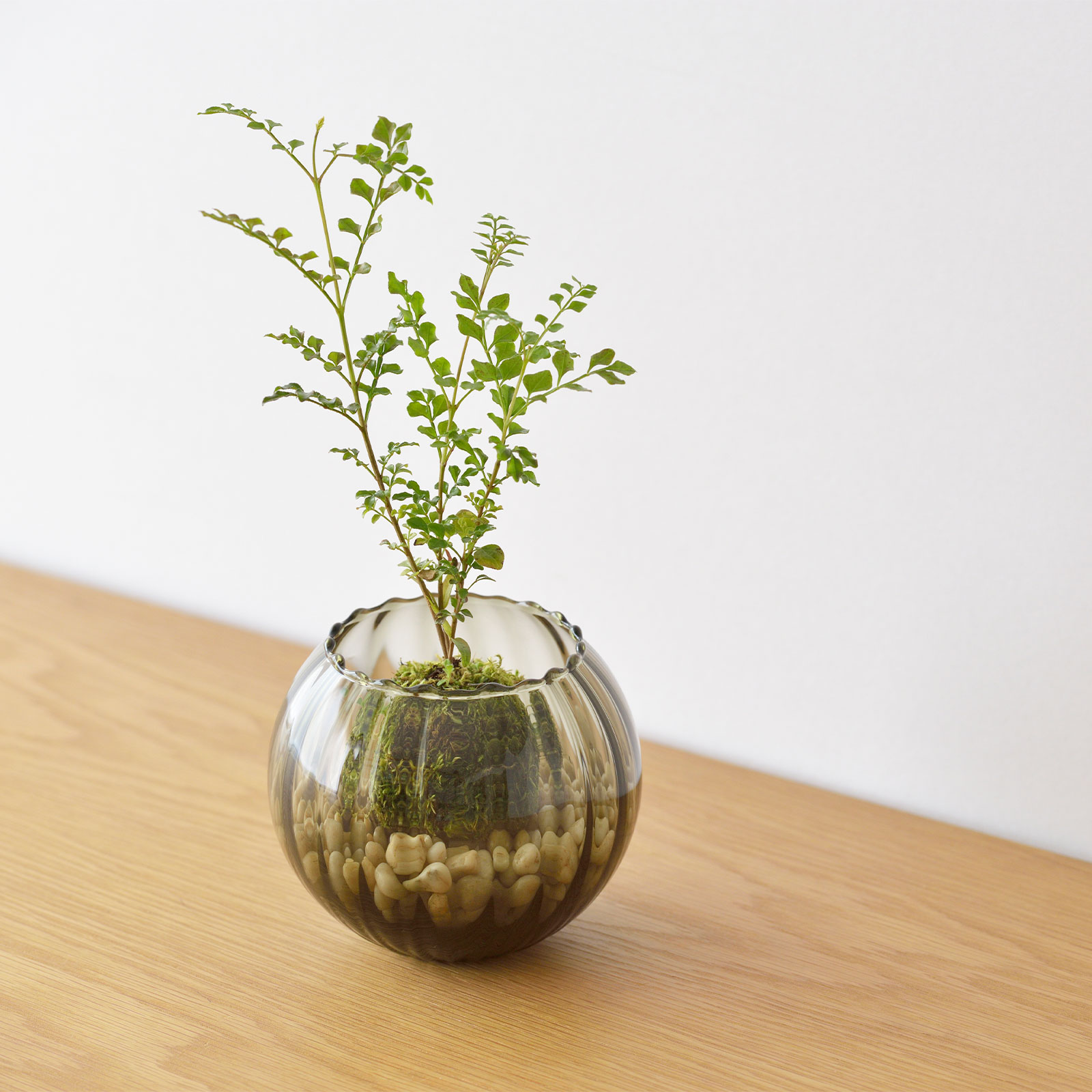 パフ：モールボール花器 (S)