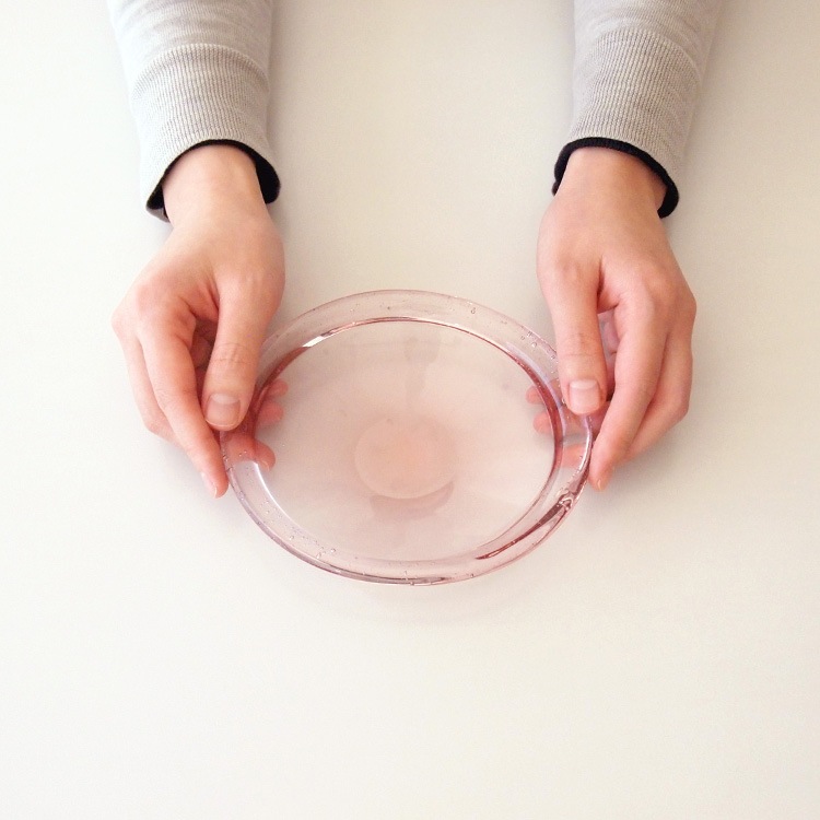 ペタロス:プレート (S)