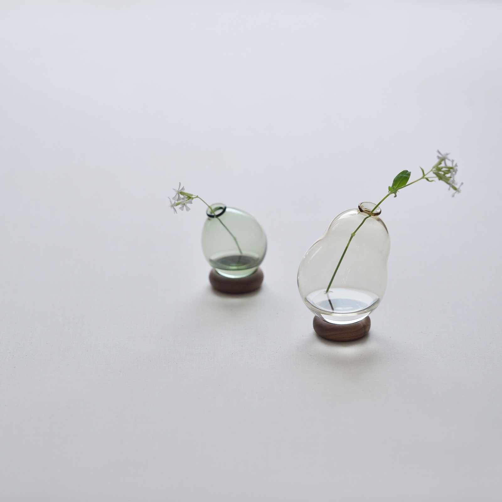 みずふうせん：一輪挿し (S)