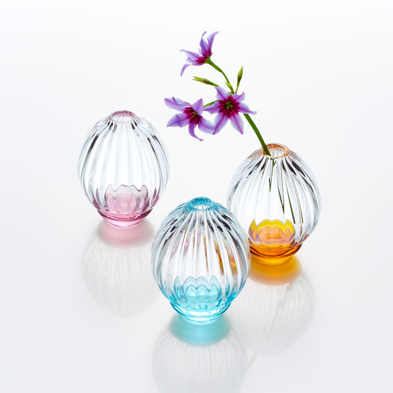 ハナヤギ：一輪挿し