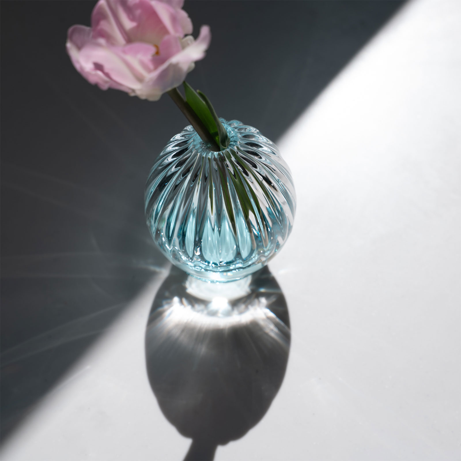 ハナヤギ：一輪挿し