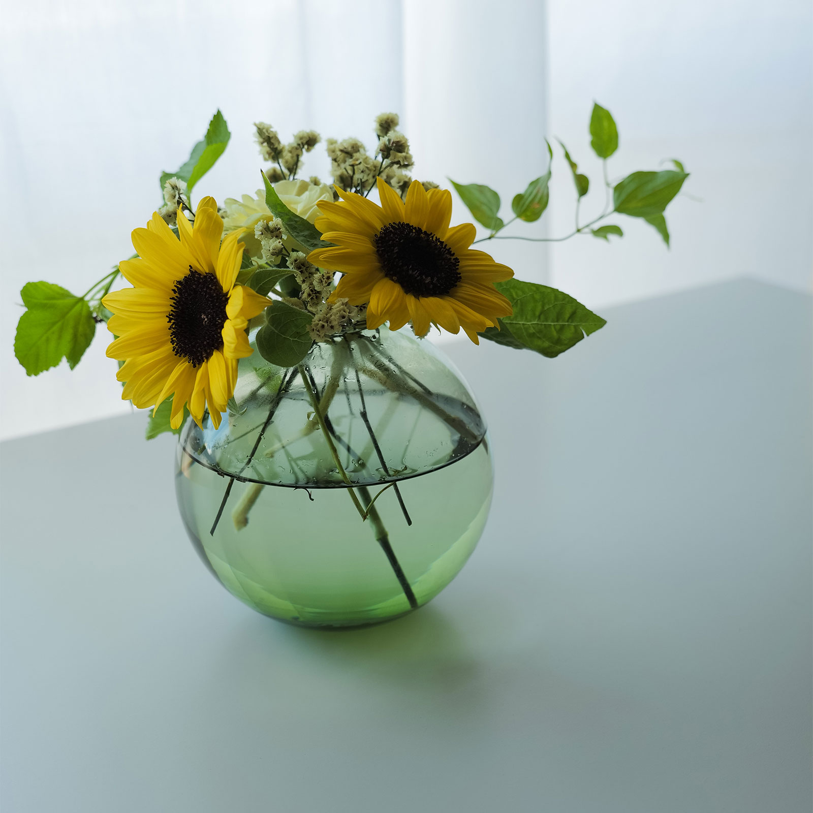 フィオラ：フラワーベース (SS)