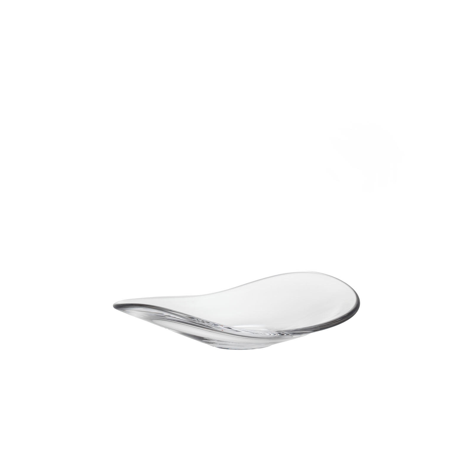 トゥッティー：プレート (S) web 限定カラー入り 5枚セット GIFT