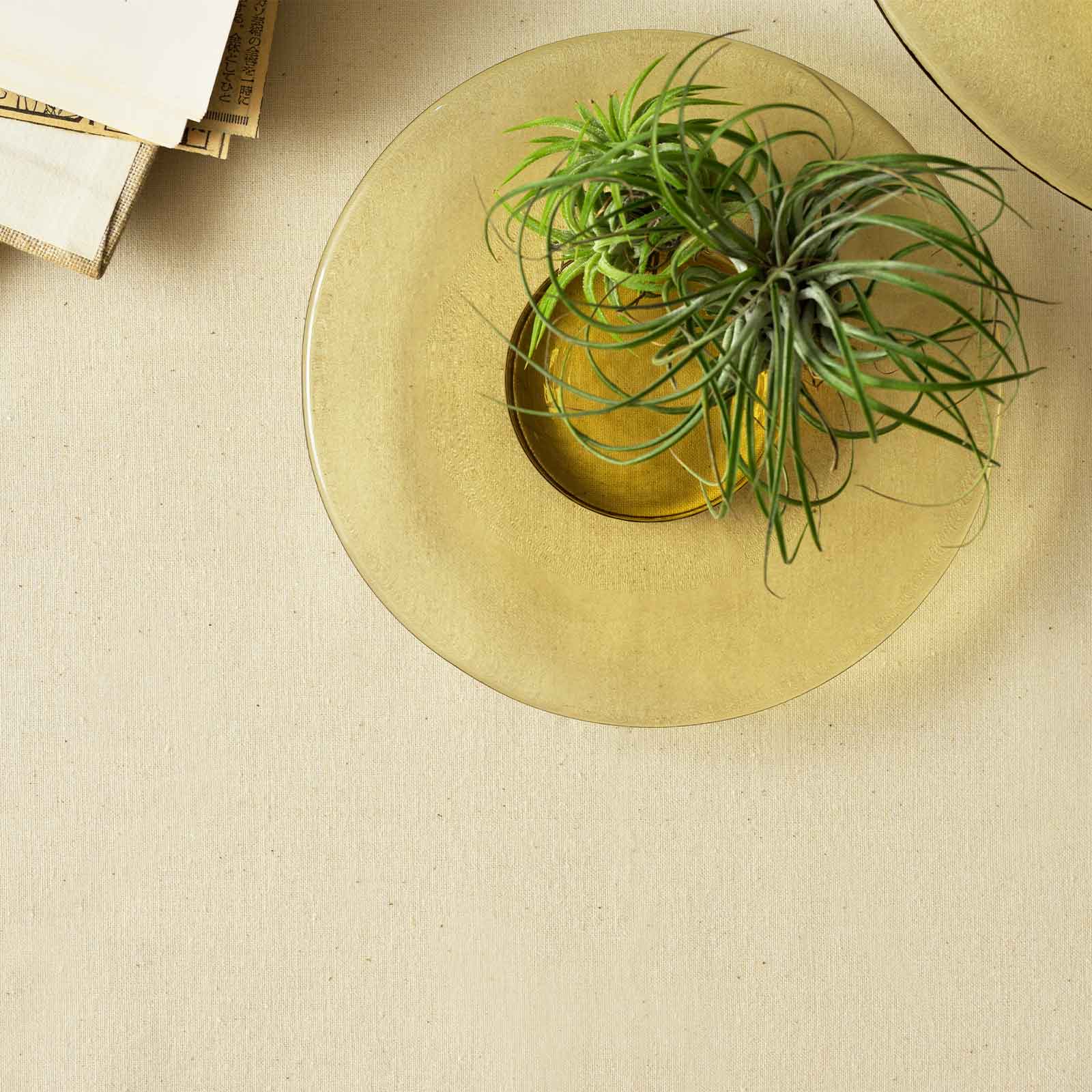 リップルプレート：丸形プレート (30cm)