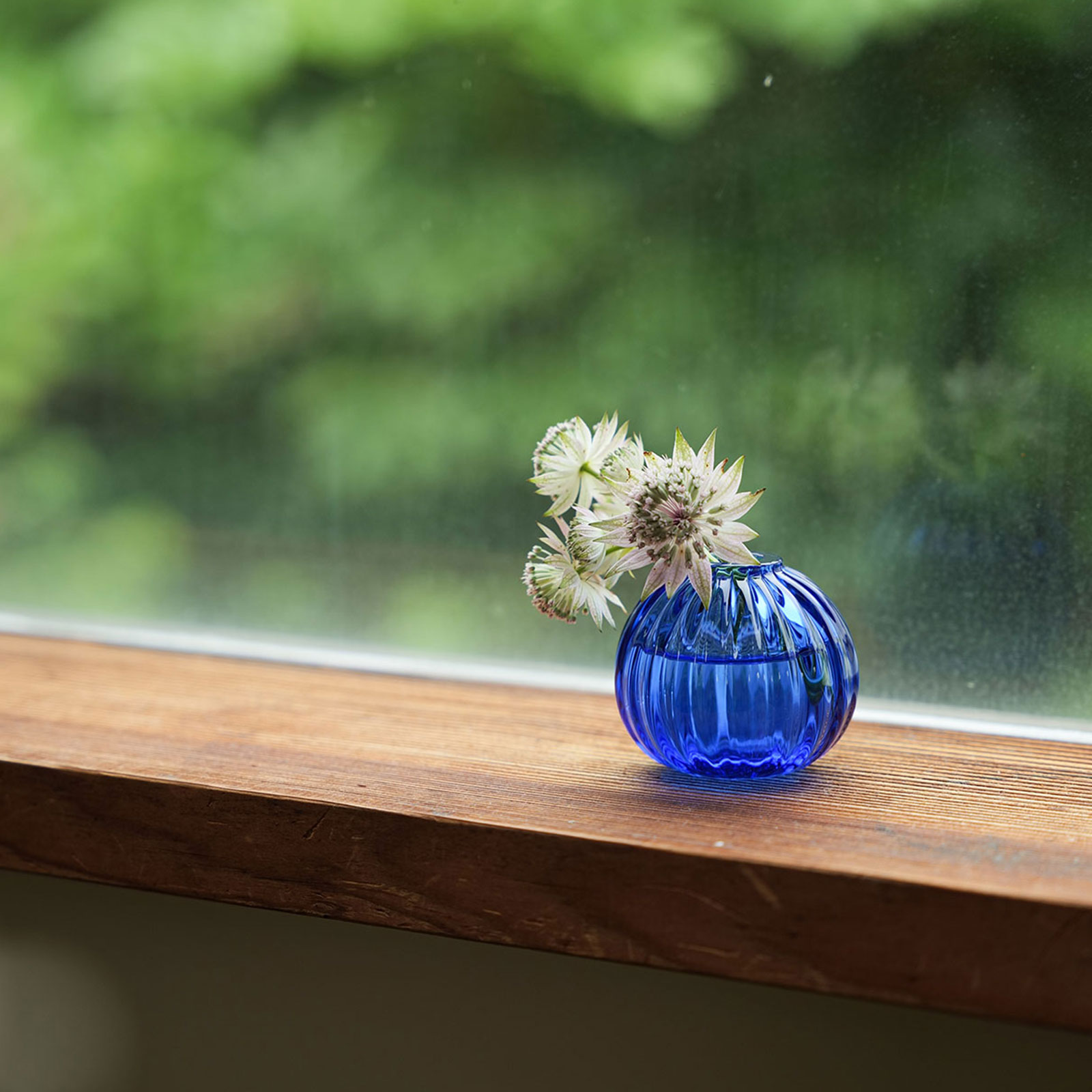 フラワーベース：一輪挿し モール (S)