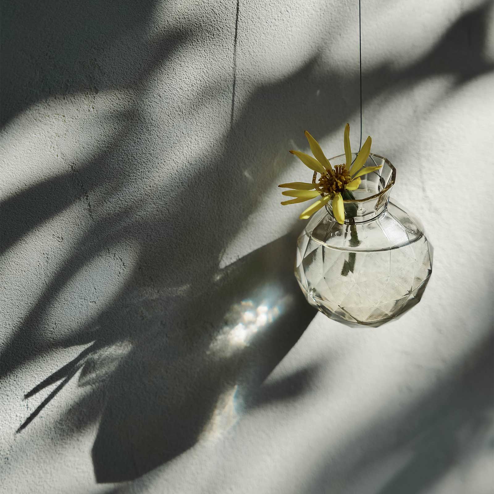 ユッコ:一輪挿し