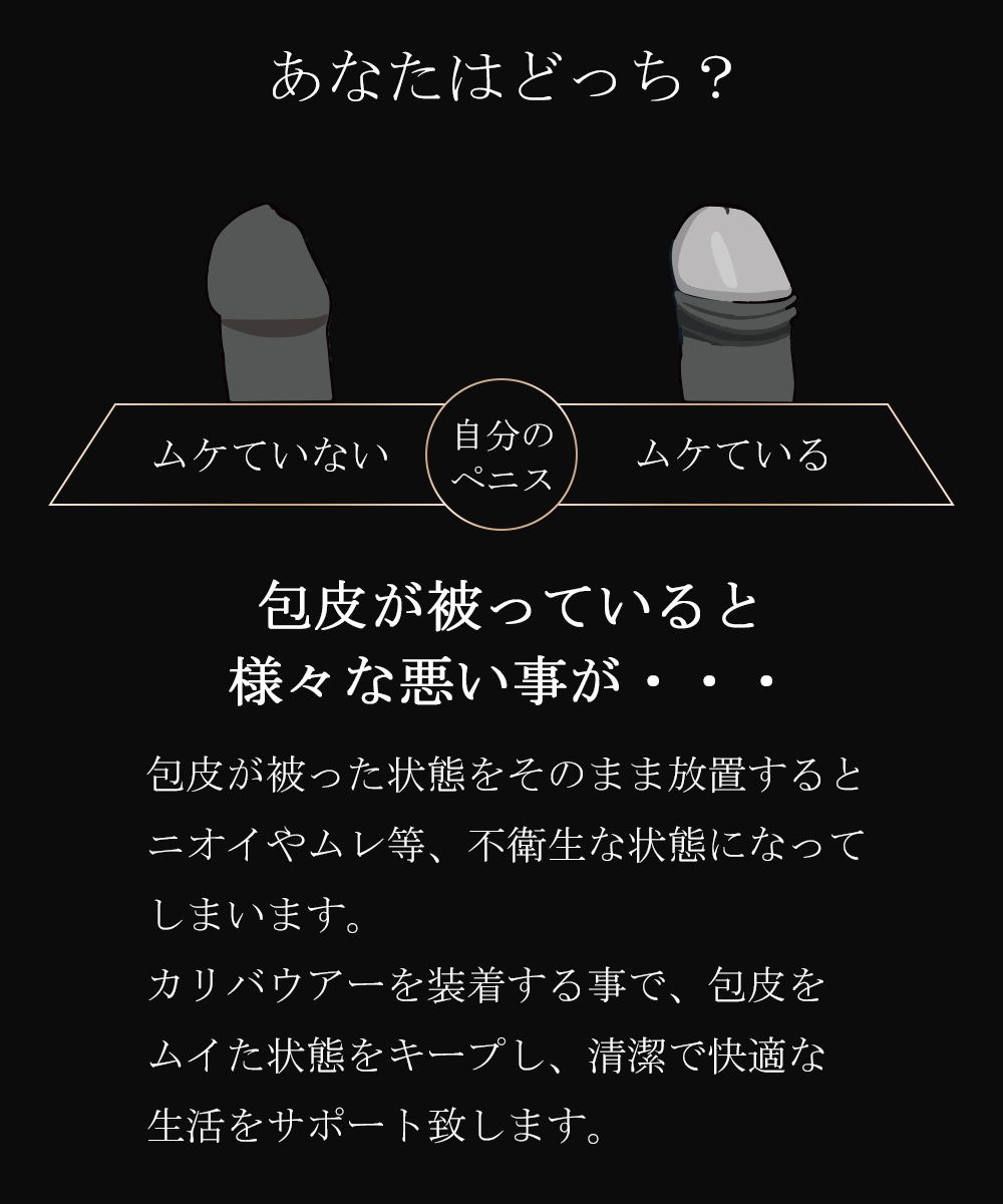 カリバウアー　STONES（ストーンズ）【タイプ：タイガーアイ】金運　仕事　対人関係　24金メッキ採用（ストラップ付き）