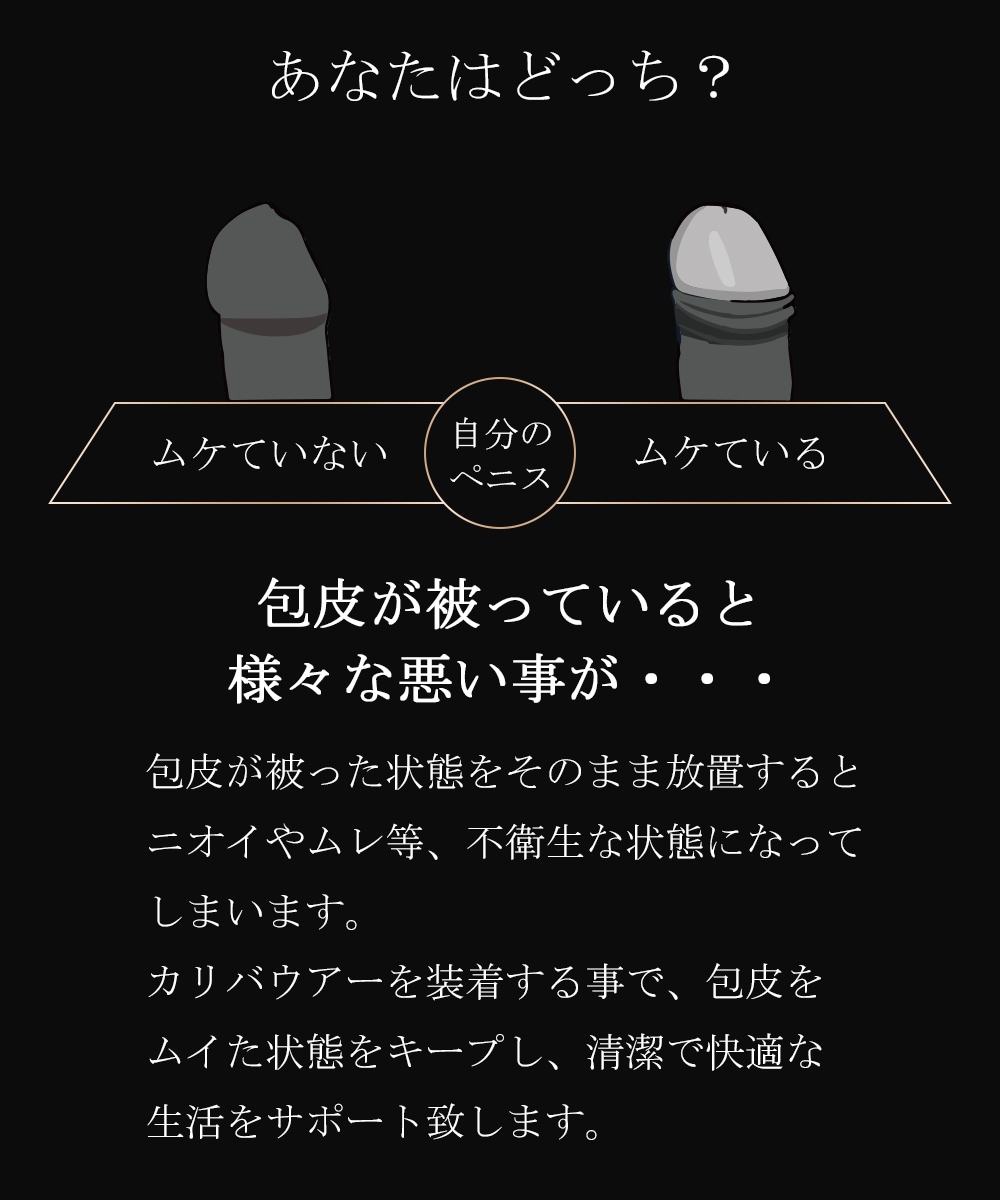 カリバウアー　STONES（ストーンズ）【タイプ：テラヘルツ】治癒　浄化　健康　24金メッキ採用（ストラップ付き）