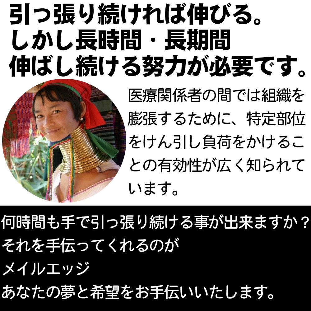 メイルエッジPRO