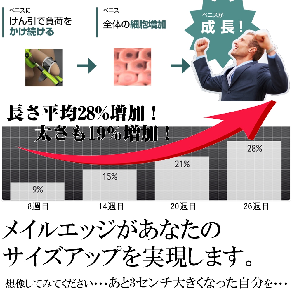 メイルエッジPRO