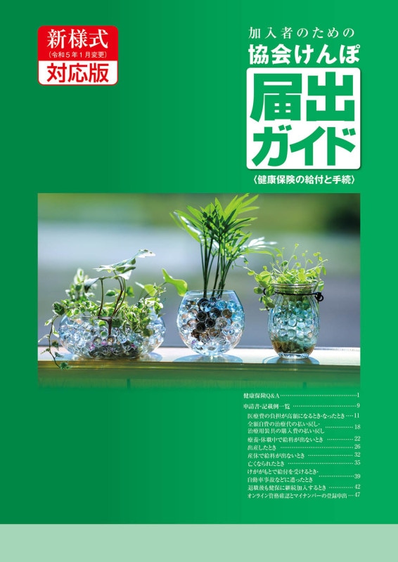 レセプト事務のための 薬効・薬価リスト 令和6年版 | 医薬情報