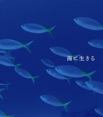 �������ˡ�͹������������±���70��ǯ��ǰ�̿������س����������