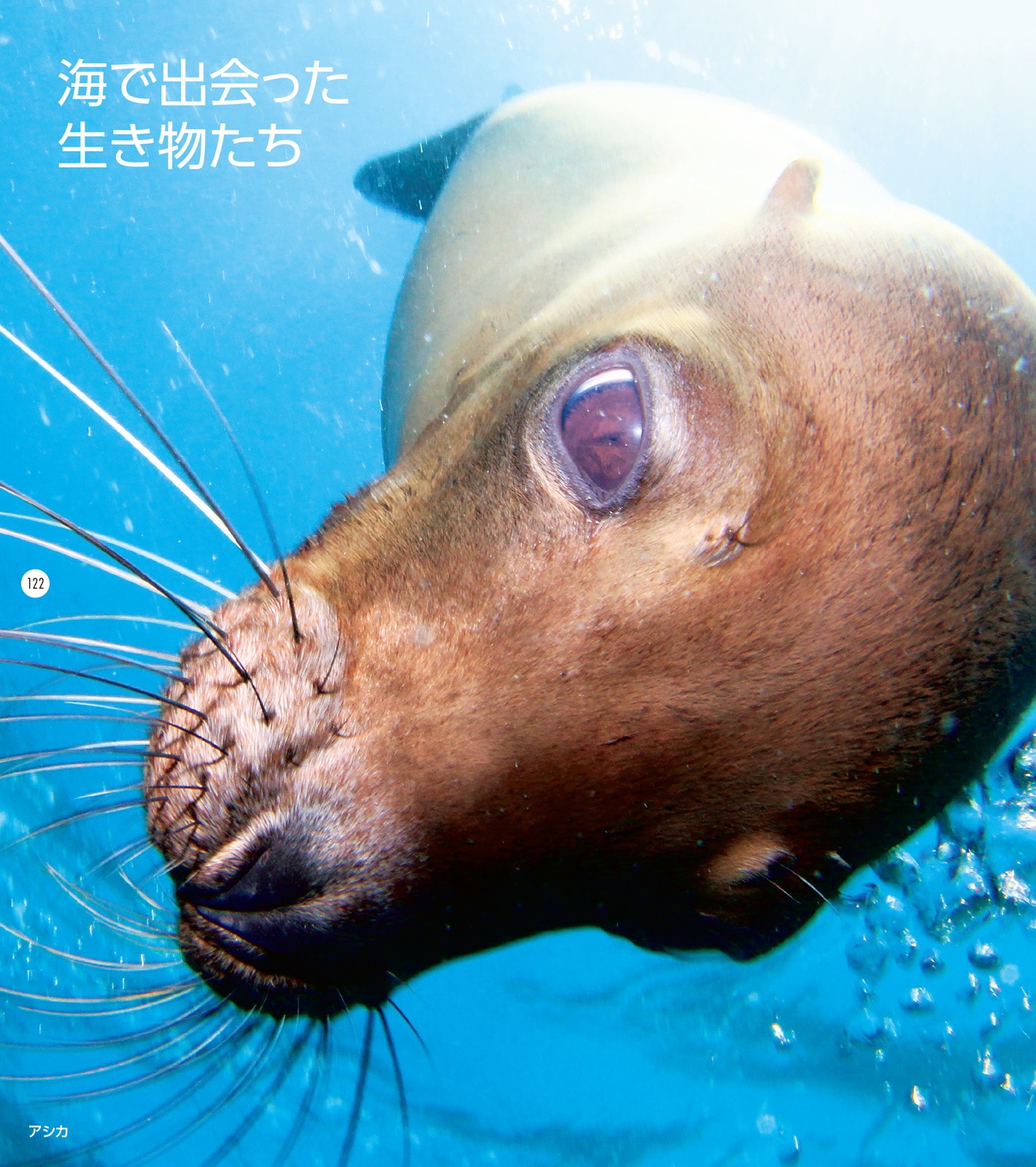 �������ˡ�͹������������±���70��ǯ��ǰ�̿������س����������