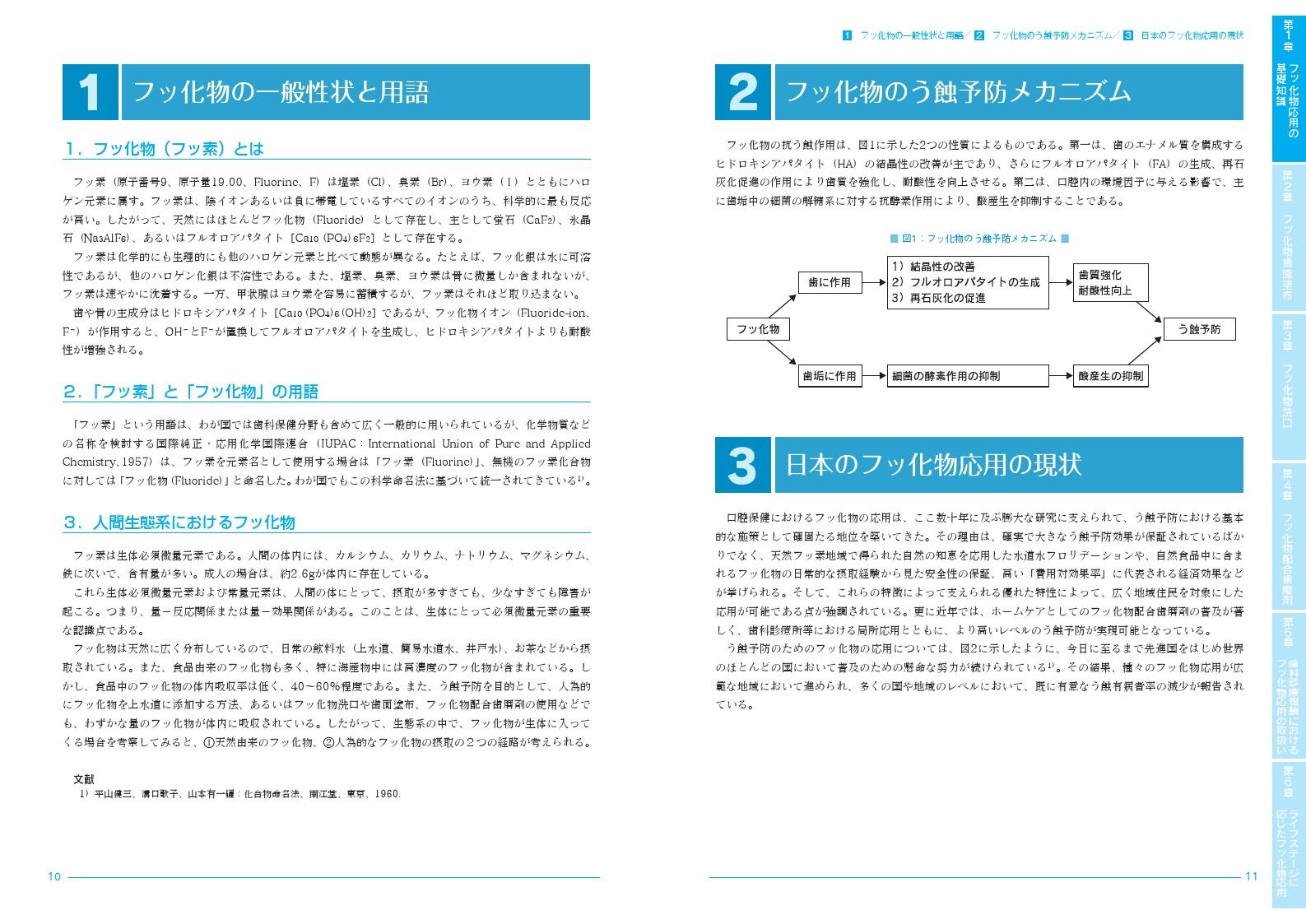 ͽɤμºݡեòʪɽѼ»ܥޥ˥奢