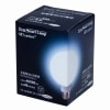 �䡼�ǥ� ���С����ޡ��ȥ��� ����ȯ��LED�ŵ� E26���� ES-600WE26-GW