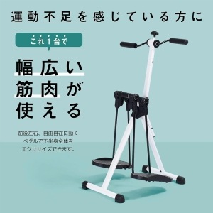 ���륤�󥳡������󥰥����ॵ�����롡AHE3000��������