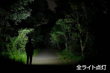 �ο��ʡϡ�����̵���� GENTOS ������ȥ� �ãϣ¡ܥ��åץ�������ܥϥ��֥�åɷ��̣ţĥإåɥ饤�ȡ��ǥ��� DI-H234H